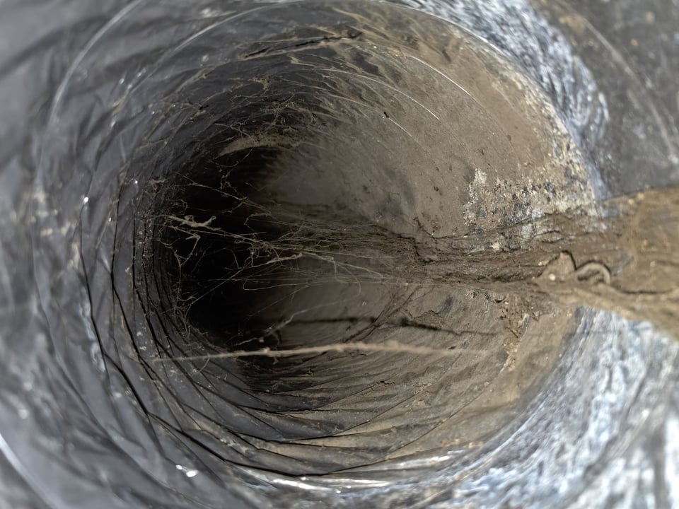Close-up of dust and cobwebs inside the flexible outdoor-air intake duct of a high-performance homes HRV system.