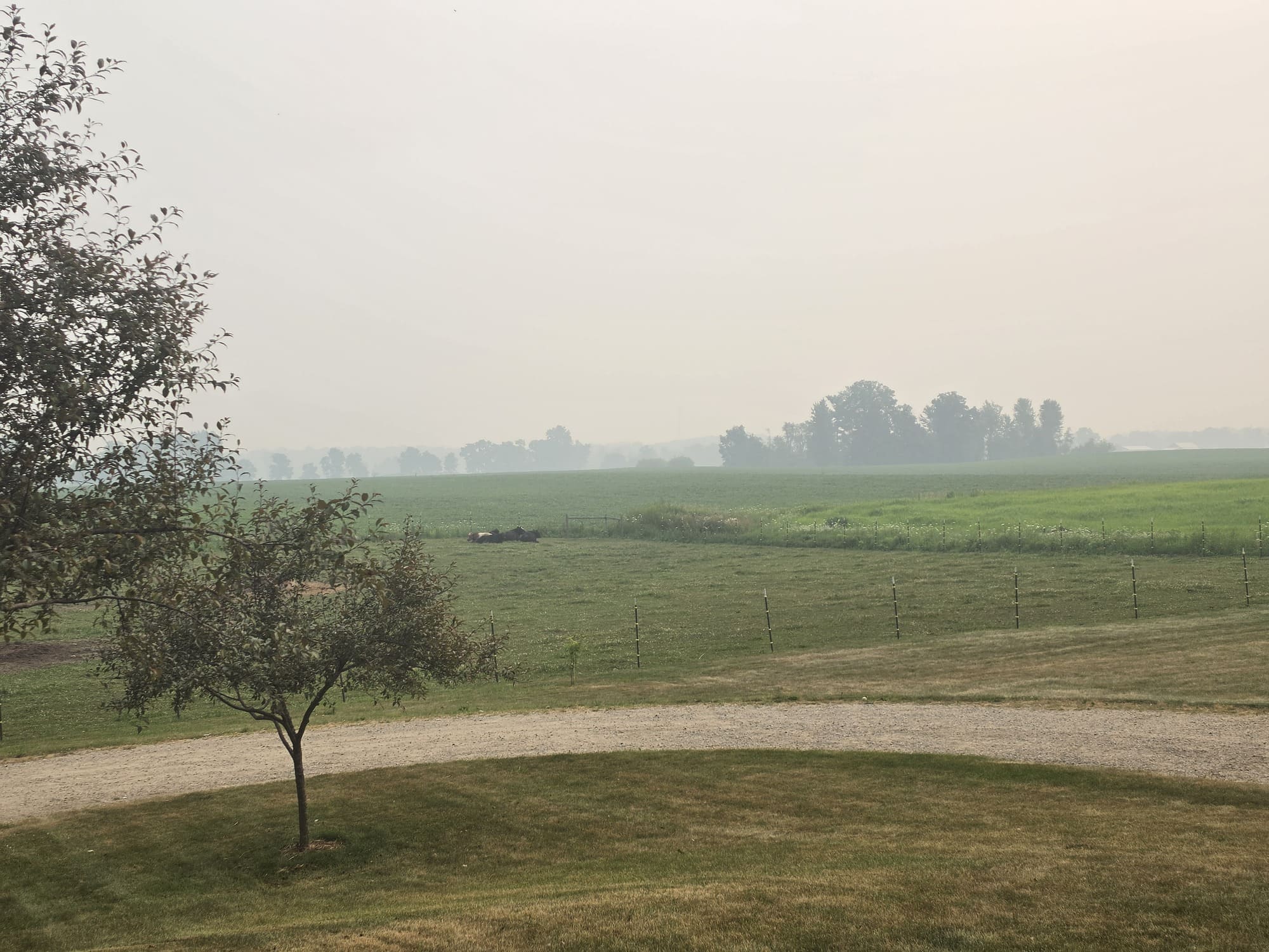 Wildfire smoke creates hazy skies and reduces visibility over a rural West Michigan property in July 2026.