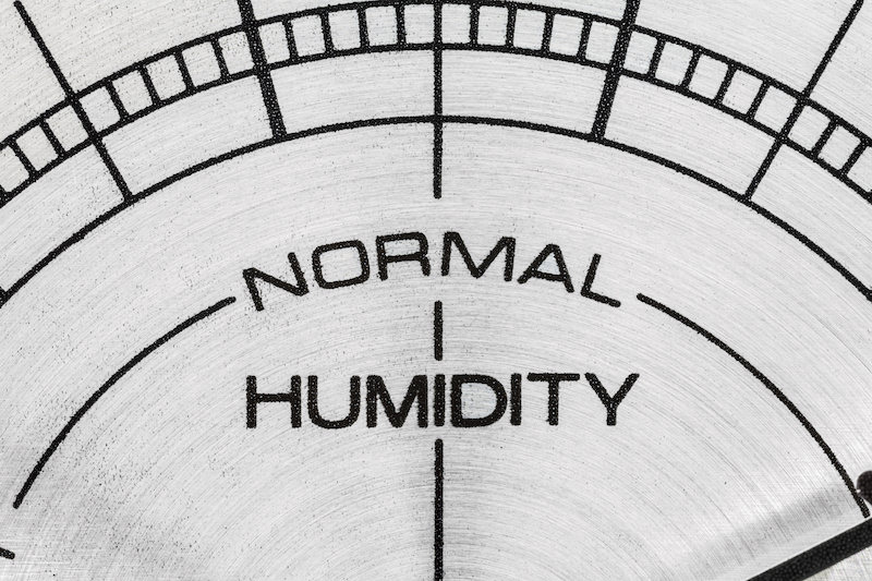 Humidity Levels In Your Michigan Home